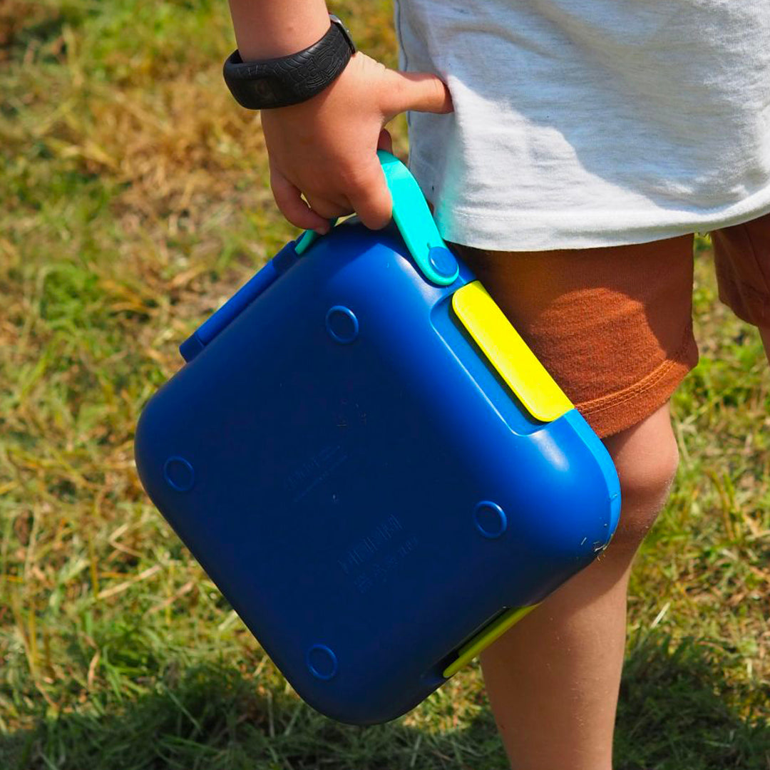 Boy Holding Neat Bento