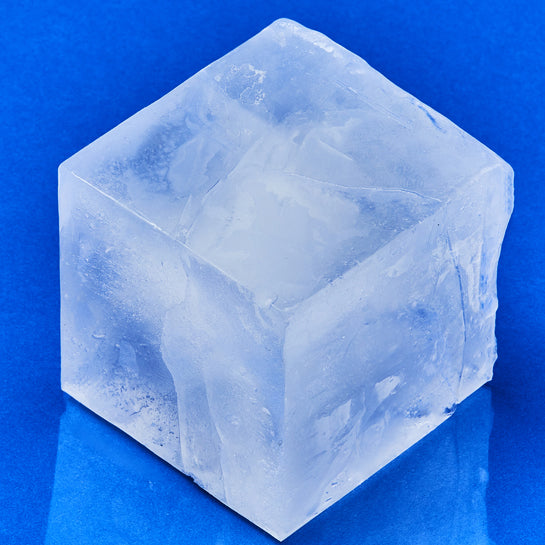 corgi ice cube mold｜TikTok Search